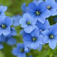 ai gegenereerd bloemen Aan de tuin achtergrond foto