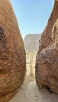 visie door twee graniet keien naar een struik en spitzkoppe foto