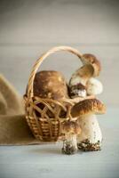 hoop van vers geoogst Woud champignons in mand foto