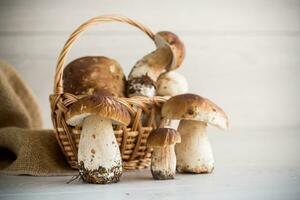 hoop van vers geoogst Woud champignons in mand foto