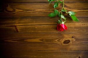 een rood mooi bloeiend roos Aan een houten tafel foto