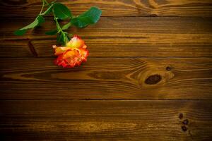 een rood mooi bloeiend roos Aan een houten tafel foto