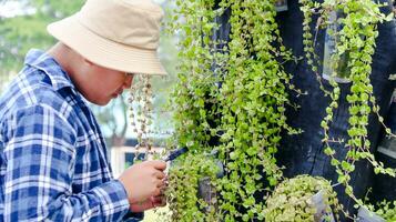 jong jongen is gebruik makend van een klein vergroten glas naar inspecteren en naar studie fabriek in botanisch tuin, zacht en selectief focus foto