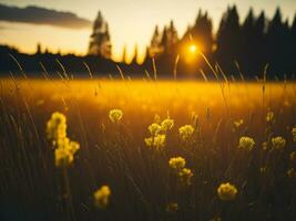 ai gegenereerd gloeiend velden van winter zacht focus zonsondergang weide met geel bloemen van de natuur omarmen. een symfonie van kleuren warm winter zonsondergang weide met abstract zacht focus natuur harmonie. foto