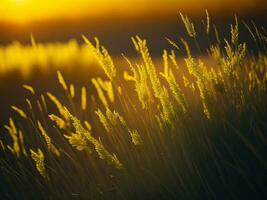 ai gegenereerd abstract zacht focus zonsondergang veld- landschap van geel bloemen en gras weide warm gouden uur zonsondergang zonsopkomst tijd. rustig voorjaar zomer natuur detailopname en wazig Woud achtergrond. foto