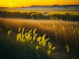 ai gegenereerd abstract zacht focus zonsondergang veld- landschap van geel bloemen en gras weide warm gouden uur zonsondergang zonsopkomst tijd. rustig voorjaar zomer natuur detailopname en wazig Woud achtergrond. foto