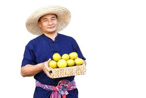 knap Aziatisch Mens boer draagt hoed, blauw shirt, houdt mand van biologisch oranje fruit, maken hand- naar Cadeau, geïsoleerd Aan wit achtergrond. concept, landbouw bezigheid, produceren gewassen naar markt. foto