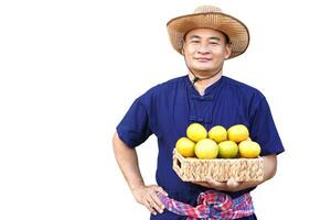 knap Aziatisch Mens boer draagt hoed, blauw shirt, zetten hand- Aan taille en houdt mand van fruit, geïsoleerd Aan wit achtergrond. concept, landbouw bezigheid, produceren gewassen naar markt. foto