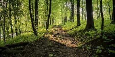 ai gegenereerd een weg met mooi Woud. ai gegenereerd foto