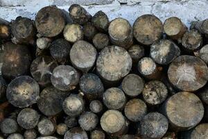 gezaagd logboeken gelegd tegen de muur. brandhout voor aanmaakhout. gezaagd pijnboom hout. foto