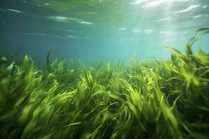 ai gegenereerd onderwater- visie van een groep van zeebedding met groen zeegras. ai gegenereerd foto