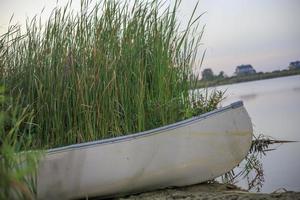 boot voor een zeegras bij een vijver foto