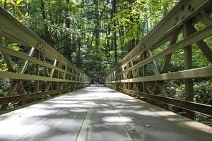 twee kinderen lopen over een houten brug in het bos foto