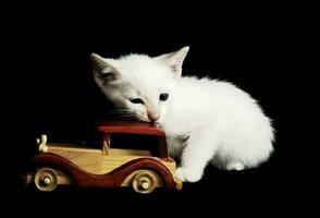 een wit katje spelen met een houten speelgoed- auto foto