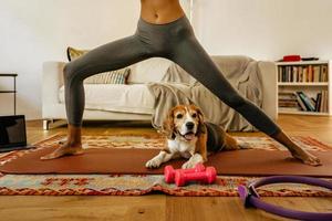 zwarte jonge vrouw die oefening doet tijdens yogapraktijk met haar hond foto