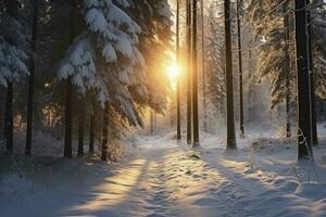 ai gegenereerd een besneeuwd Woud versierd met sprankelend sneeuw, badend in de teder gloed van zon stralen. foto