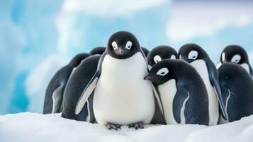 ai gegenereerd een groep van pinguïns staand in de sneeuw, presentatie van hun zwart en wit veren en ineengedoken samen voor warmte. generatief ai foto