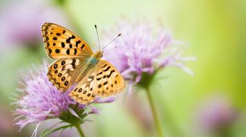 ai gegenereerd een vlinder neergestreken Aan een bloem met een wazig achtergrond. generatief ai foto