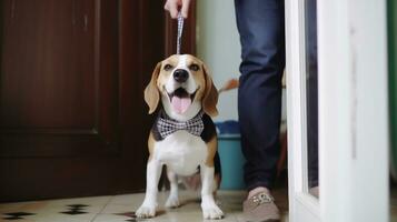 ai gegenereerd een goed gekleed hond poseren met haar baasje, vervelend een elegant boog binden. generatief ai foto