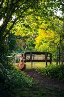 bank met gitaar in een tuin foto