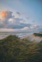 groot duinen in avond licht Bij Deens west kust foto