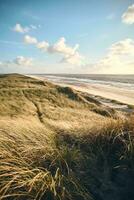 groot duinen Bij Deens kust foto