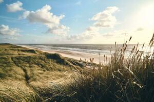 groot duinen Bij Deens kust foto