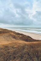 bewolkt dag Bij de duinen in Denemarken foto