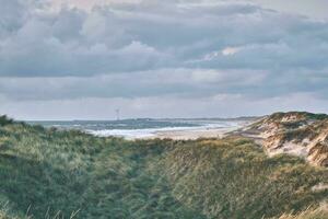 duinen in avond licht Bij Deens west kust foto