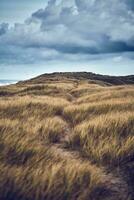 traject in de duinen van veljby klit met wolken Aan de horizon foto