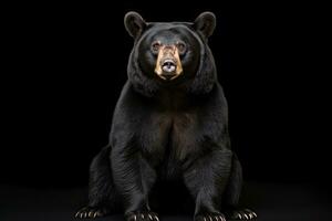ai gegenereerd realistisch zwart beer clip art foto
