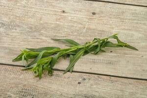 groen dragon kruid kruid voor Koken foto