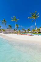 verbijsterend landschap, zwemmen zwembad blauw lucht met wolken. tropisch toevlucht hotel in Maldiven. fantastisch kom tot rust en vredig gevoel, stoelen, ligstoelen onder paraplu en palm bladeren. luxe reizen vakantie foto