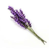 ai gegenereerd single lavendel bloem geïsoleerd Aan wit foto