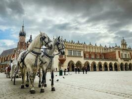 Krakau, Polen, 2023 - twee mooi wit paard met vervoer voor toerist tour in centraal markt plein in Krakau - historisch stad in Polen. foto