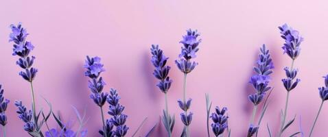 ai gegenereerd bloemen Aan lavendel achtergrond, foto