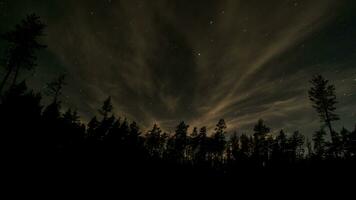 sterren en wolken in de nacht lucht bovenstaand de Woud foto