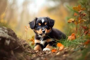 ai gegenereerd puppy in natuur Aan herfst Woud achtergrond. detailopname dier portret. ai gegenereerd foto