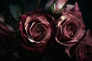 ai gegenereerd roze rozen donker humeurig romantisch achtergrond. detailopname bloemen kaart achtergrond. ai gegenereerd foto