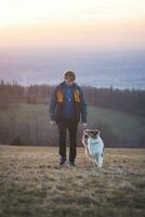 jong cynoloog, een hond trainer treinen een vierpotig huisdier Australisch herder in eenvoudig commando's gebruik makend van behandelt. liefde tussen hond en menselijk foto