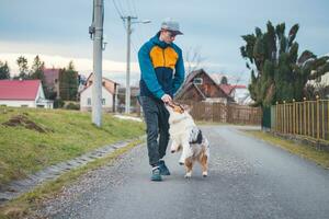 jong cynoloog, een hond trainer treinen een vierpotig huisdier Australisch herder in eenvoudig commando's gebruik makend van behandelt. liefde tussen hond en menselijk. schattigheid foto