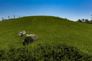 zomer landschap met groen gras Aan heuvel Aan blauw lucht achtergrond foto