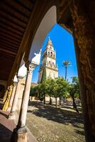 de klok toren Bij de mezquita moskee kathedraal in Cordoba, Spanje foto
