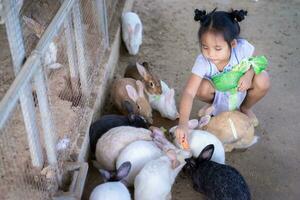 schattig klein Aziatisch meisje dat konijn voedt op de boerderij foto