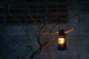 wijnoogst latern hangende van een boom in de avond foto