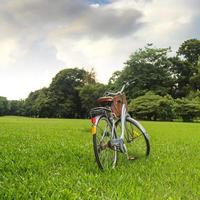 fietsen in het park foto