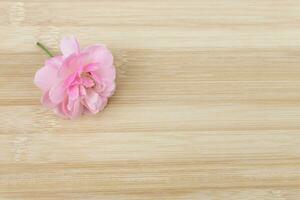 de roze fee roos bloem Aan de bamboe hout. foto