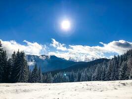 smrekovec berg top Slovenië winter wandelen sneeuw foto