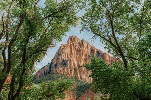 Zion nationaal park berg tussen de bomen foto