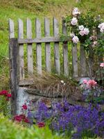 een houten hek met bloemen in voorkant van het foto